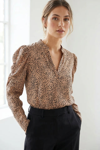 Model