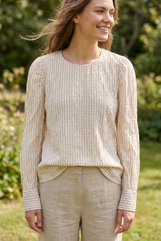 Model